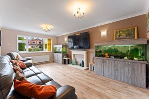 Lounge- click for photo gallery